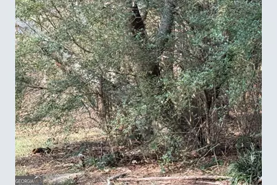 305 Brand Road SW, Loganville, GA 30052 - Photo 5