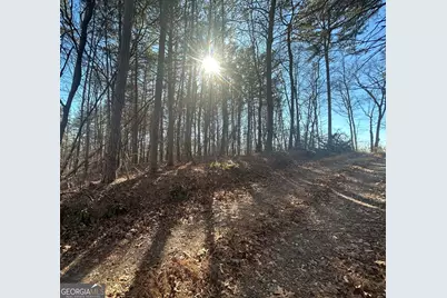 0 Highland Tree Court, Ranger, GA 30734 - Photo 3