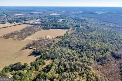 0 Sandbed Road, Kathleen, GA 31047 - Photo 13