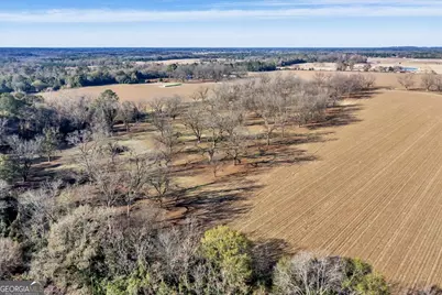 0 Sandbed Road, Kathleen, GA 31047 - Photo 31