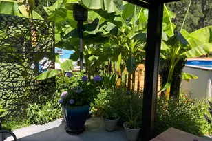 35 Candlewood Dr, Newnan, GA 30265 - Photo 75