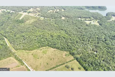 0 Pearl Mill Road, Elberton, GA 30635 - Photo 13