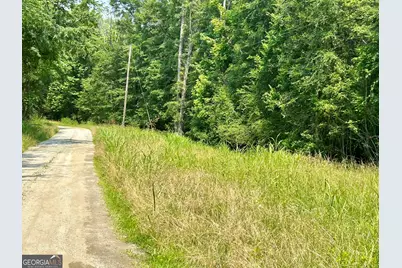 0 Pearl Mill Road, Elberton, GA 30635 - Photo 25