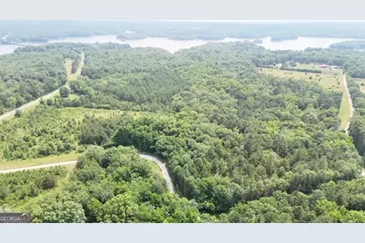 0 Pearl Mill Road, Elberton, GA 30635 - Photo 9