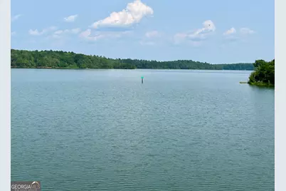 0 Pearl Mill Road, Elberton, GA 30635 - Photo 23