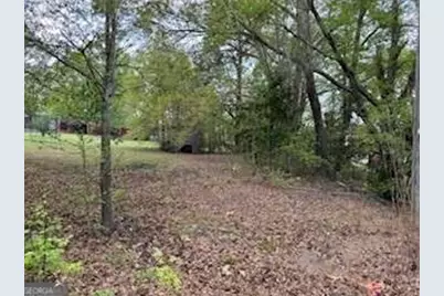 0 Spring Street, Warm Springs, GA 31830 - Photo 7