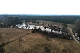 1668 E Golden Isles Hwy, McRae-Helena, GA 31055 - Photo 9