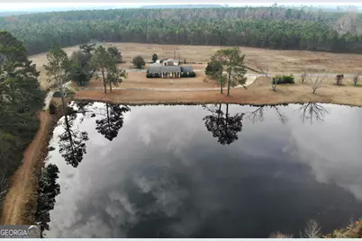 1668 E Golden Isles Highway, McRae-Helena, GA 31055 - Photo 3