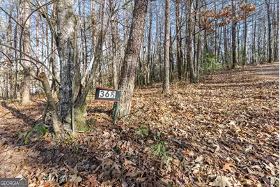 368 Harkins Road, Cleveland, GA 30528 - Photo 11