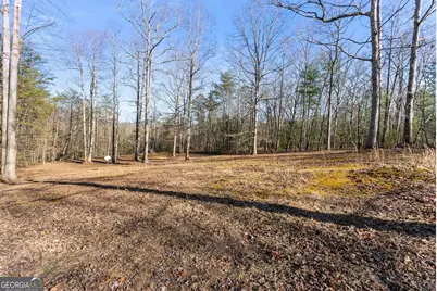 368 Harkins Road, Cleveland, GA 30528 - Photo 9