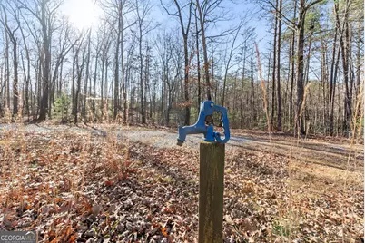 368 Harkins Road, Cleveland, GA 30528 - Photo 5