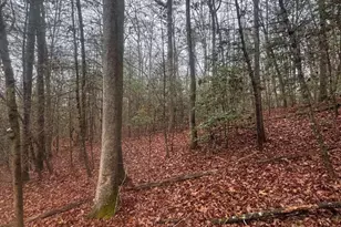 0 W Mountaintown Trail, Ellijay, GA 30540 - Photo 1