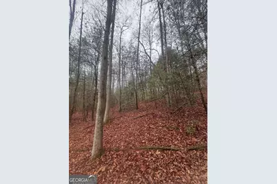 0 W Mountaintown Trail, Ellijay, GA 30540 - Photo 3