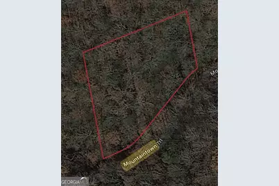 0 W Mountaintown Trail, Ellijay, GA 30540 - Photo 5