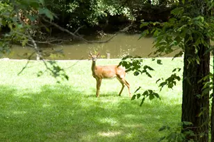 2316 Emerald Dr, Jonesboro, GA 30236 - Photo 5