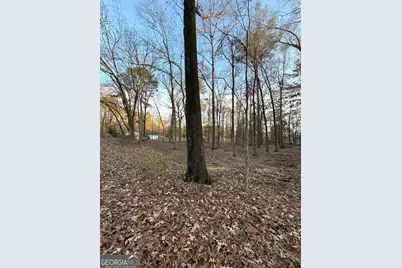 0 Deer Park Lane, Calhoun, GA 30701 - Photo 5