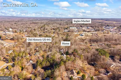 169 View Street, Clarkesville, GA 30523 - Photo 61