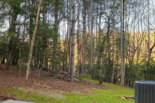 167 Happy Valley Ln, Morganton, GA 30560 - Photo 71