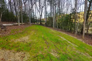 167 Happy Valley Ln, Morganton, GA 30560 - Photo 81