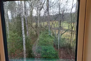 167 Happy Valley Ln, Morganton, GA 30560 - Photo 31