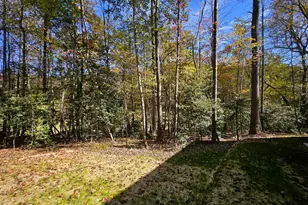 167 Happy Valley Ln, Morganton, GA 30560 - Photo 95