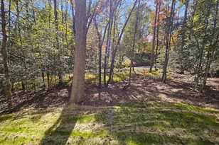 167 Happy Valley Ln, Morganton, GA 30560 - Photo 99