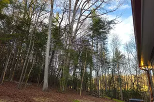 167 Happy Valley Ln, Morganton, GA 30560 - Photo 75