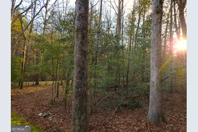 167 Happy Valley Lane, Morganton, GA 30560 - Photo 85