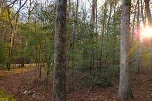 167 Happy Valley Ln, Morganton, GA 30560 - Photo 85