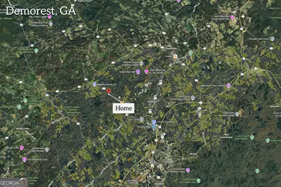 699 Cobblestone Lane, Demorest, GA 30535 - Photo 71