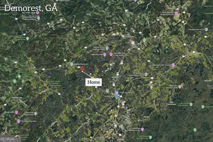 699 Cobblestone Ln, Demorest, GA 30535 - Photo 71