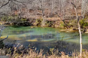 699 Cobblestone Ln, Demorest, GA 30535 - Photo 77