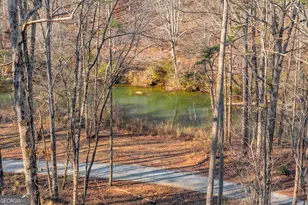 699 Cobblestone Ln, Demorest, GA 30535 - Photo 5