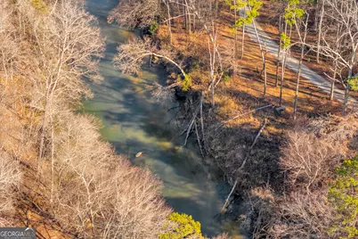 699 Cobblestone Lane, Demorest, GA 30535 - Photo 79