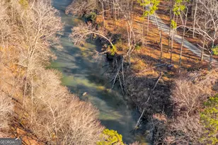 699 Cobblestone Ln, Demorest, GA 30535 - Photo 79