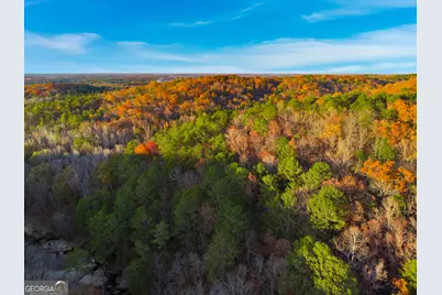 10220 Rivertown Road, Chattahoochee Hills, GA 30213 - Photo 5