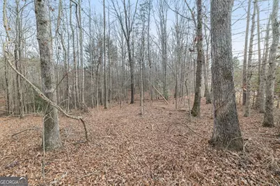 0 Beachwood Drive #35, Cornelia, GA 30531 - Photo 11