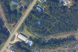 1599 US Hwy 29, West Point, GA 31833 - Photo 1