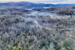 341 Brookwood Ln, Clarkesville, GA 30523 - Photo 75