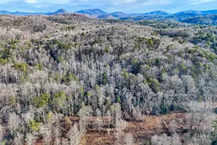 341 Brookwood Ln, Clarkesville, GA 30523 - Photo 85