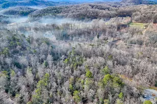 341 Brookwood Ln, Clarkesville, GA 30523 - Photo 83