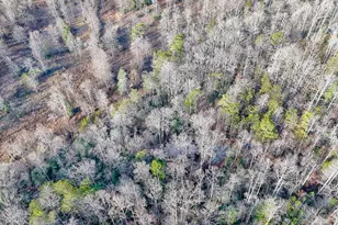 341 Brookwood Ln, Clarkesville, GA 30523 - Photo 87
