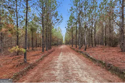 120 Saint Galilee Road, Midville, GA 30441 - Photo 63