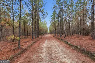 120 St Galilee Rd, Midville, GA 30441 - Photo 63