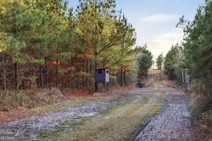 120 St Galilee Rd, Midville, GA 30441 - Photo 65