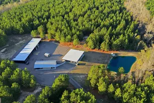 120 St Galilee Rd, Midville, GA 30441 - Photo 5