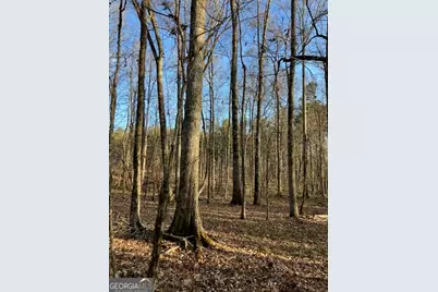 310 Philomath Woodville Road, Rayle, GA 30660 - Photo 13