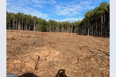 310 Philomath Woodville Road, Rayle, GA 30660 - Photo 5