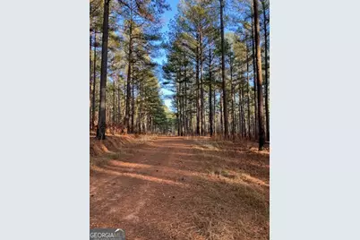 310 Philomath Woodville Road, Rayle, GA 30660 - Photo 15