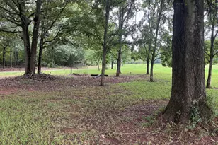 21 Hubbard Ln, Lexington, GA 30648 - Photo 3